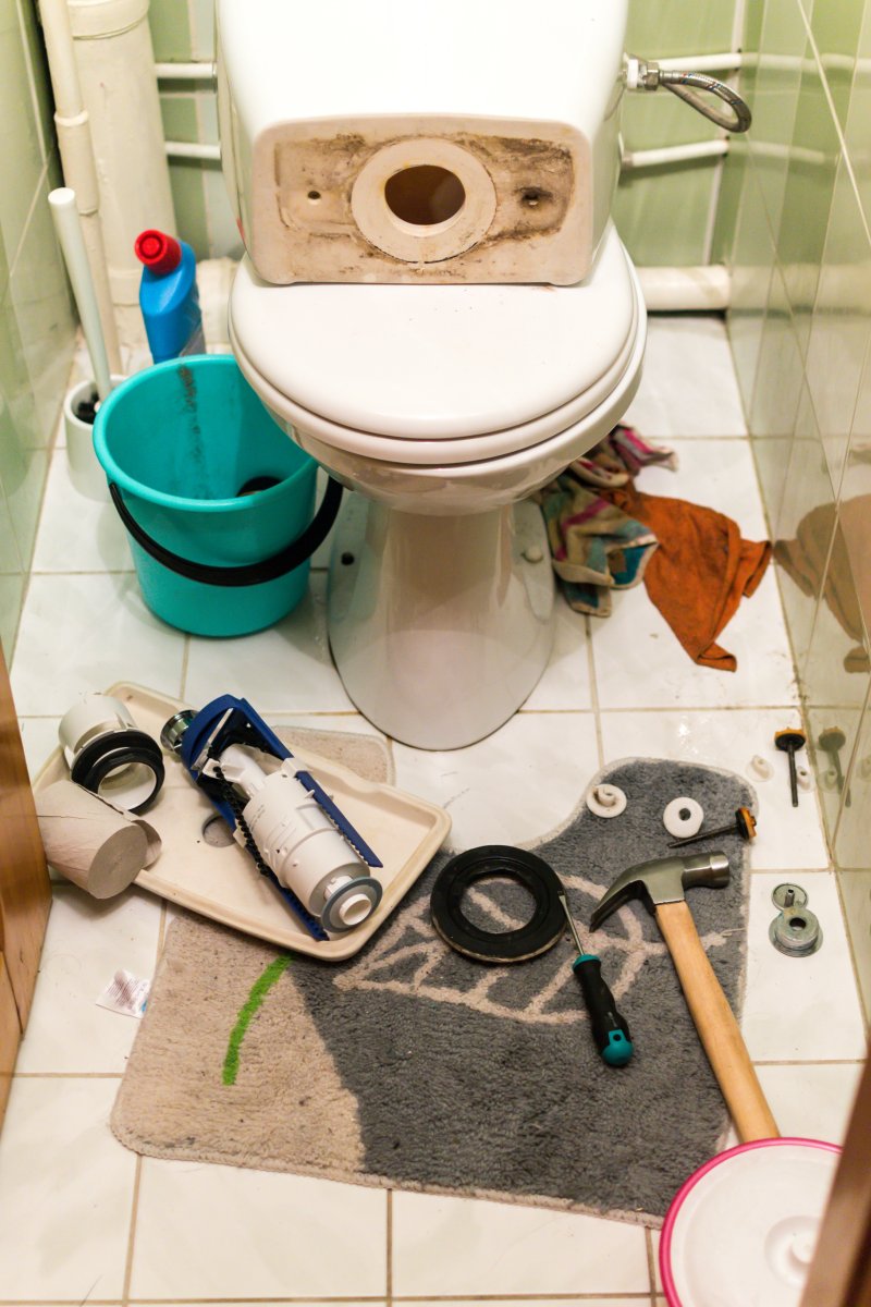 New toilet being installed in a South Norwood bathroom