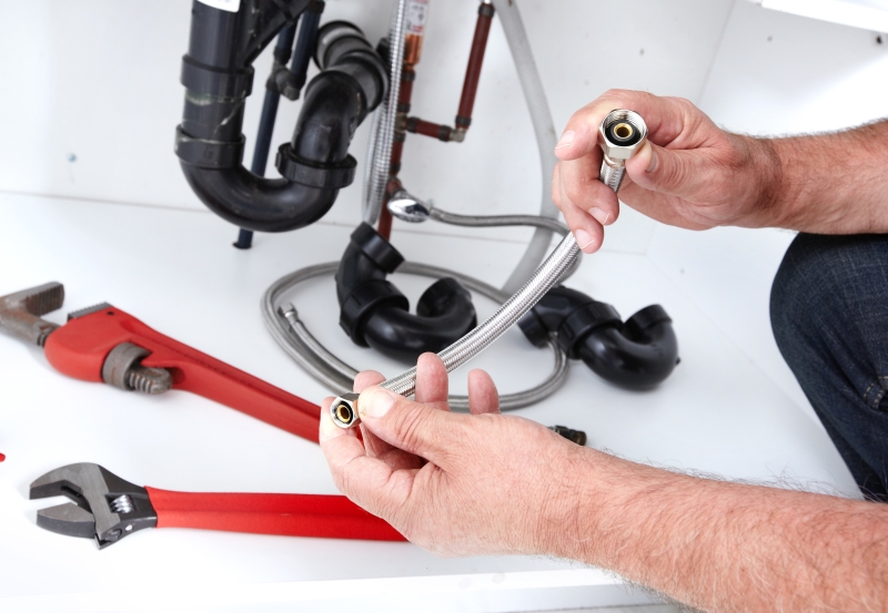 Toilet repair being carried out in South Norwood